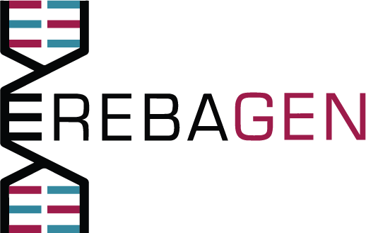 Erebagen Logo