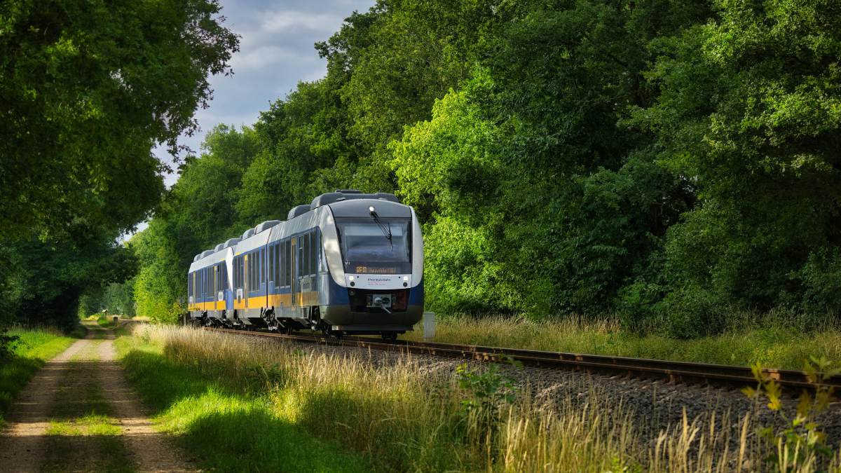 Train moving forwards surrounded by trees and greenery