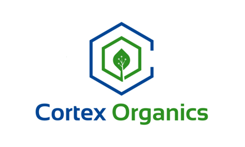Begbroke Science Cortex Logo