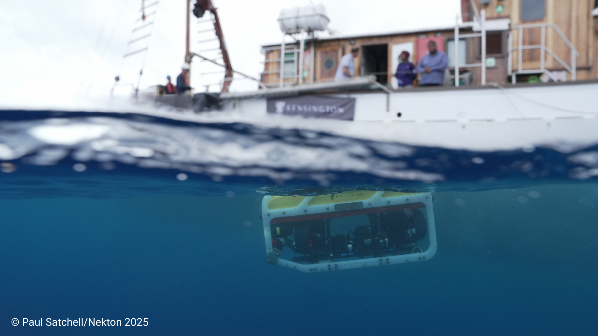 Website News And Event Images (7)