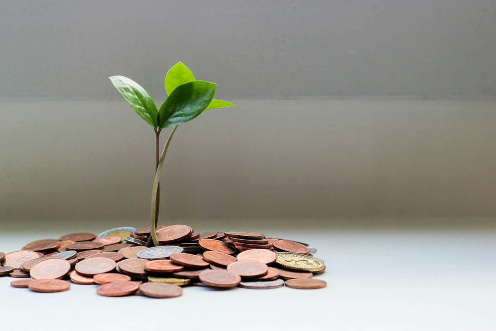 A seedling emerging from a pile of coins